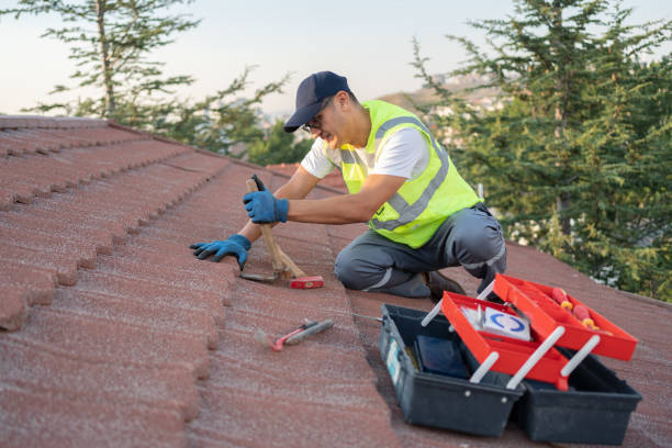 Best Metal Roofing Installation  in Maunawili, HI